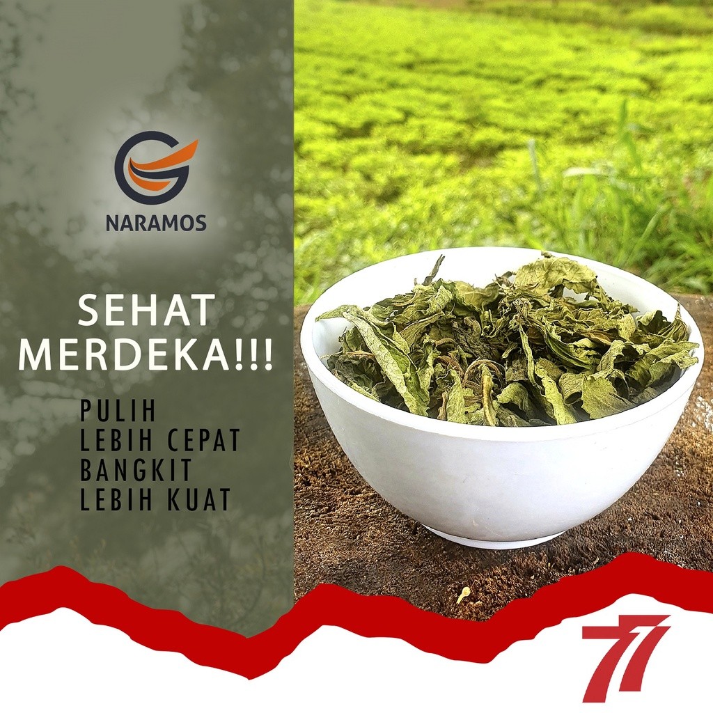 

Daun Stevia Kering Alami 100gr Daun Murni