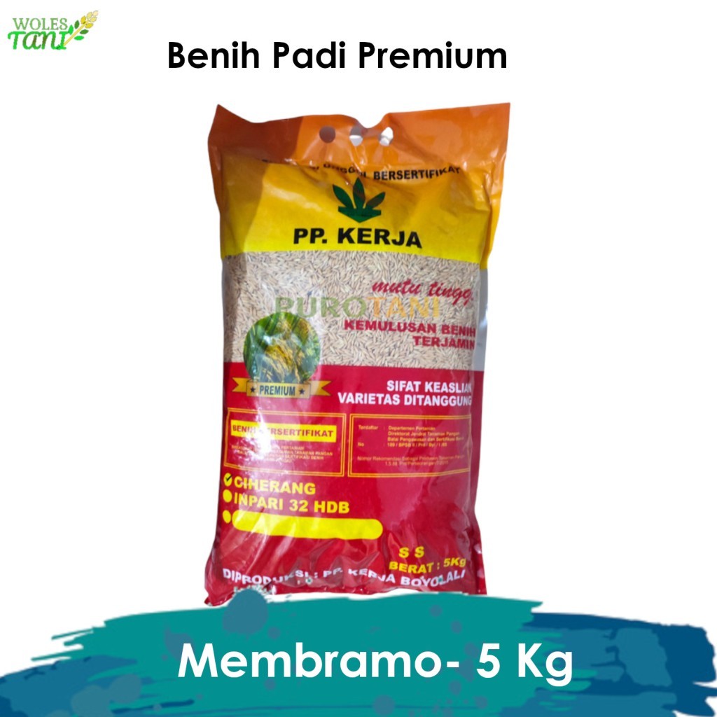 Benih Padi Membramo 5 Kg Benih Padi Premium Tahan Hama