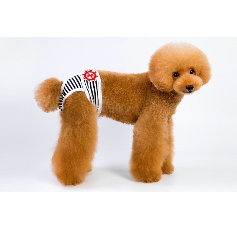 Jill Loop Panty Adjustable Velcro S-XXL