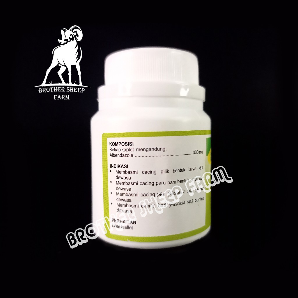 Wormzol K obat cacing domba kambing