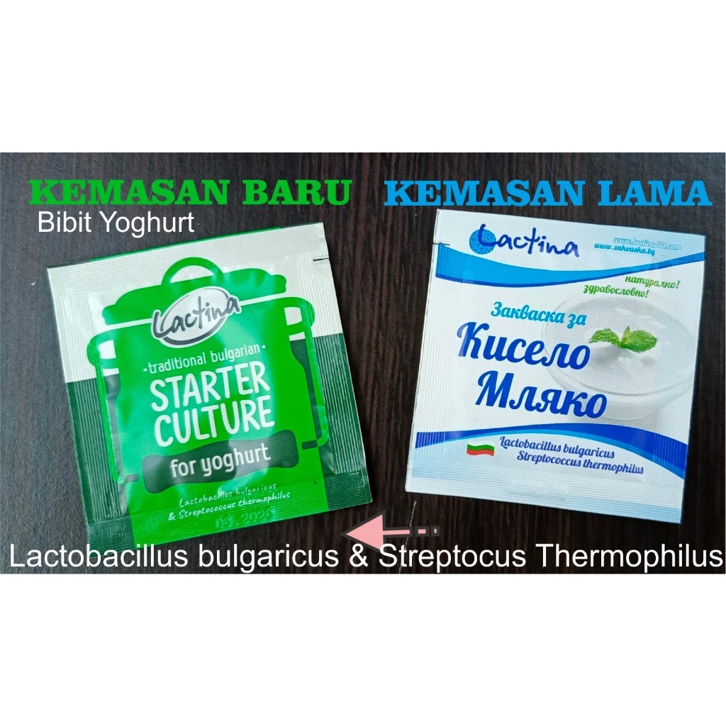 

Bibit yogurt Lactobacillus made from bulgaria