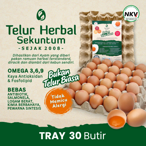 

Telur Herbal - Telur Omega 3, Bebas Antibiotik, Telur Ayam Anti Alergi Sekuntum Herbal Tray / Pack