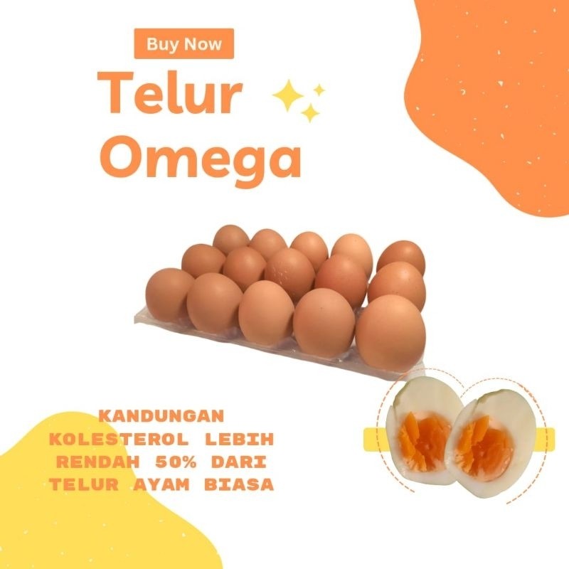 

Telur Omega 3 Ayam Negeri Fresh 15 Butir Khusus Bandung