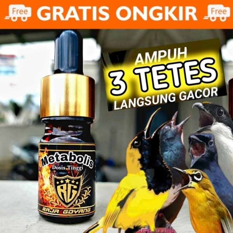 METABOLIS PENGGACOR SEMUA JENIS BURUNG /SEMPATI/TERBUKTI AMPUH PENGGACOR BURUNG
