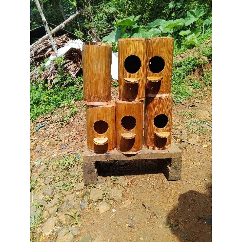 Favv Your Pets Glodok Bambu , Tempat Sarang Burung Murai +Pernis