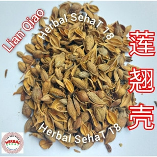 

10 gram - Lian Qiao Ke - Lian Chiao Lianqiao / Lien Qiao / Lien Chiao / Forsythia Fruit - Fructus