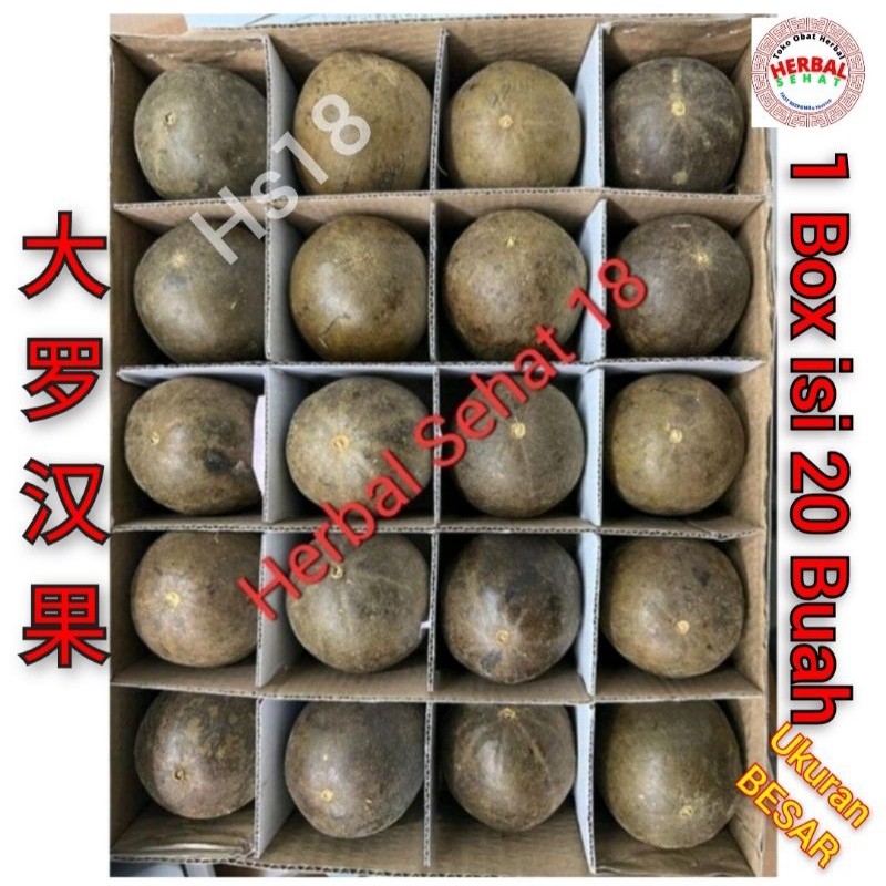 

Buah lohan kuo 1 ktk isi 20 buah UKURAN BESAR berkhasiat meredakan batuk .rehak . dan melawan virus