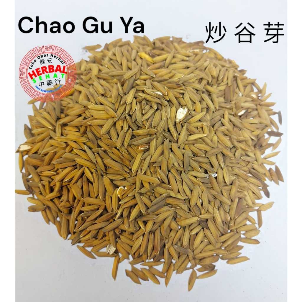 

Chao Gu Ya Dao Ya Bing - FRUCTUS ORYZAE GERMINATUS RICE SPROUT [PREMIUM]