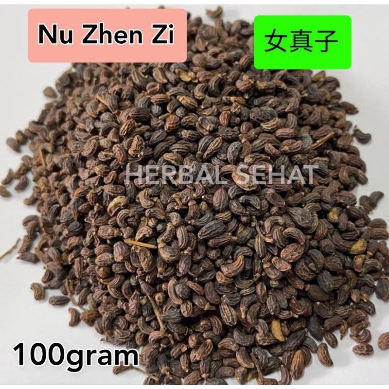

100 gram - Nu Zhen Zi Fructus Ligustri Lucidi [PREMIUM]