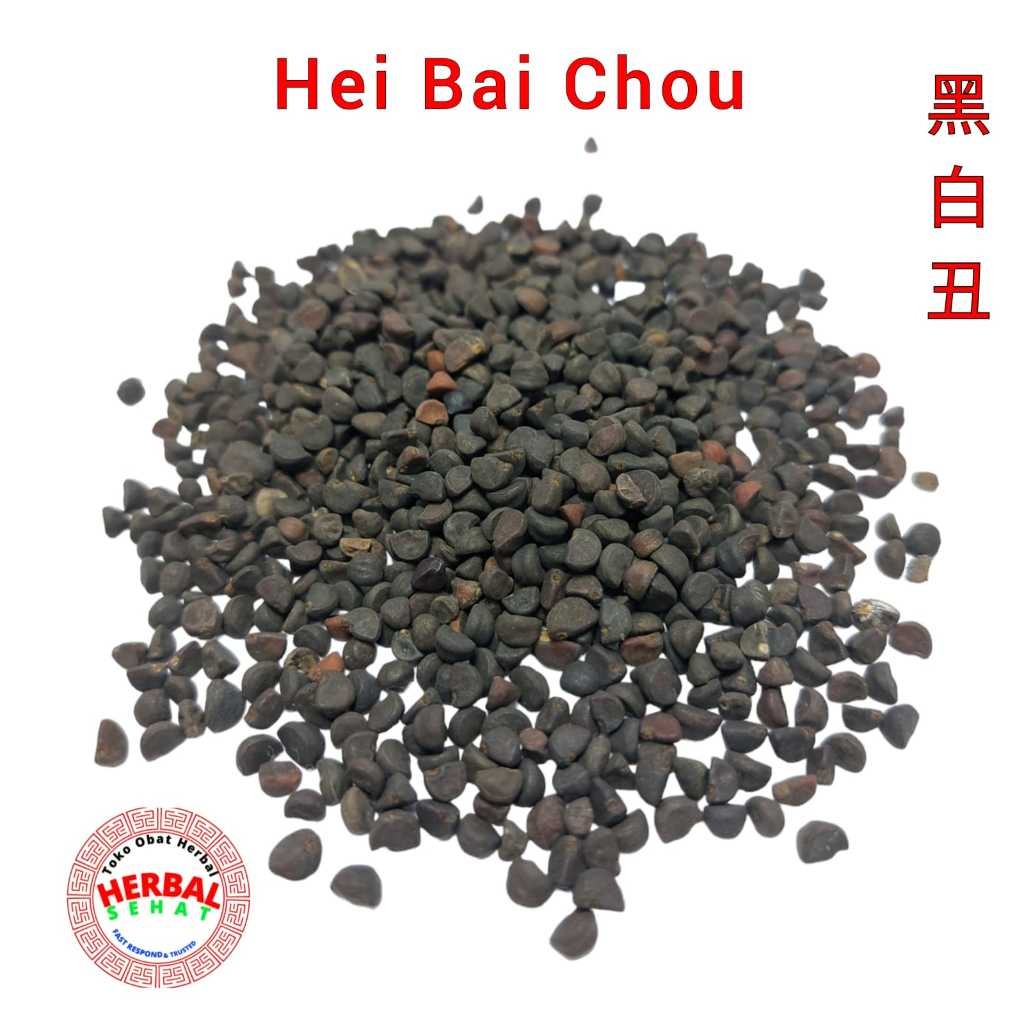 

Hei Bai Chou 600 Gram Semen Pharbitidis Black Ugly Pharbitis Seed [PREMIUM]