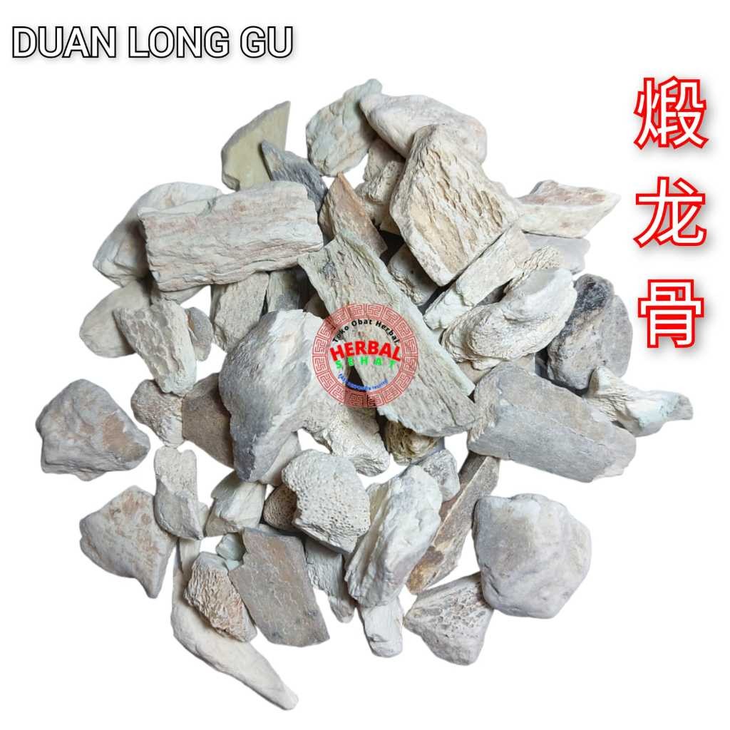 

Duan Long Gu 100gram Processed Dragon Bone Os Draconis [PREMIUM]
