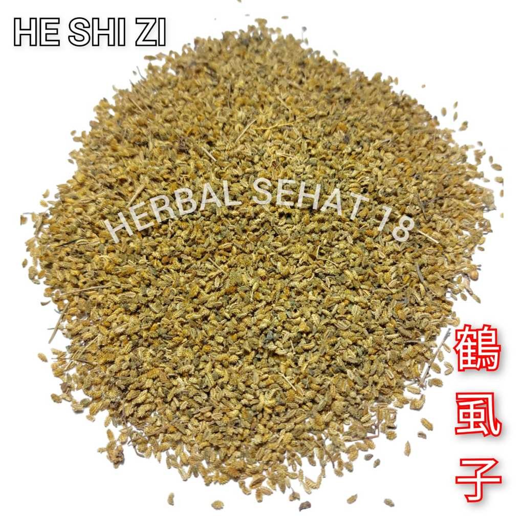 

600 gram - He Shi Zi He Xue Zi Carpesium Abrotanoides HOK HIET CI [PREMIUM]