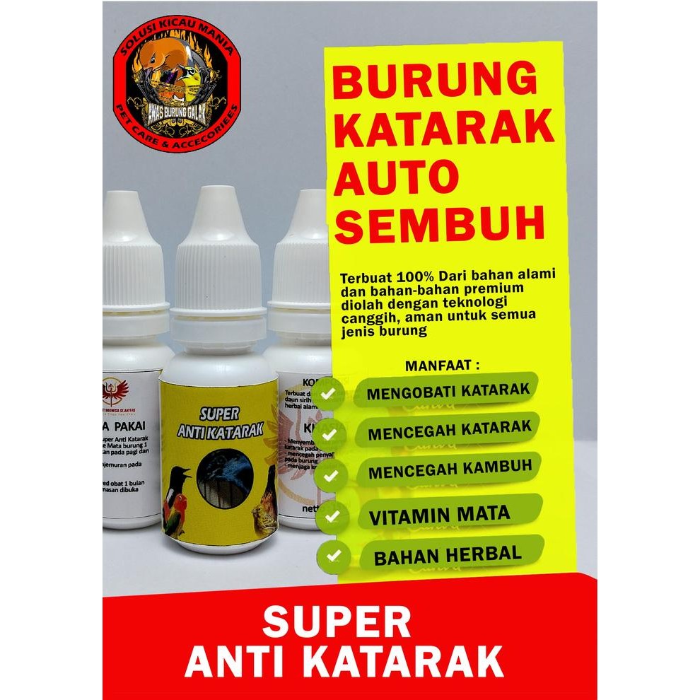 Yok Di Order Obat Burung Katarak Super Anti Katarak Untuk Semua Burung Murai