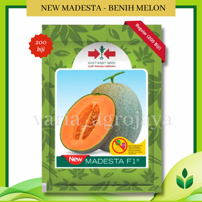 Benih Bibit Melon New Madesta F1 - Cap Panah Merah