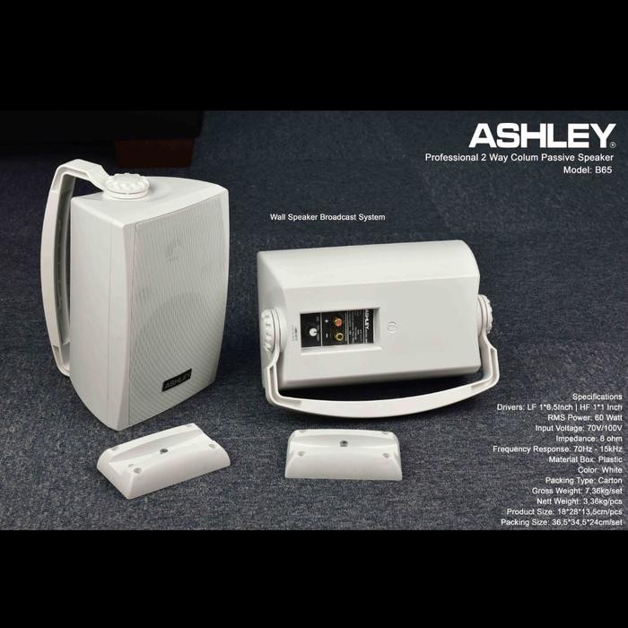 Speaker Ashley B65 6 In Pasif Speaker Garansi