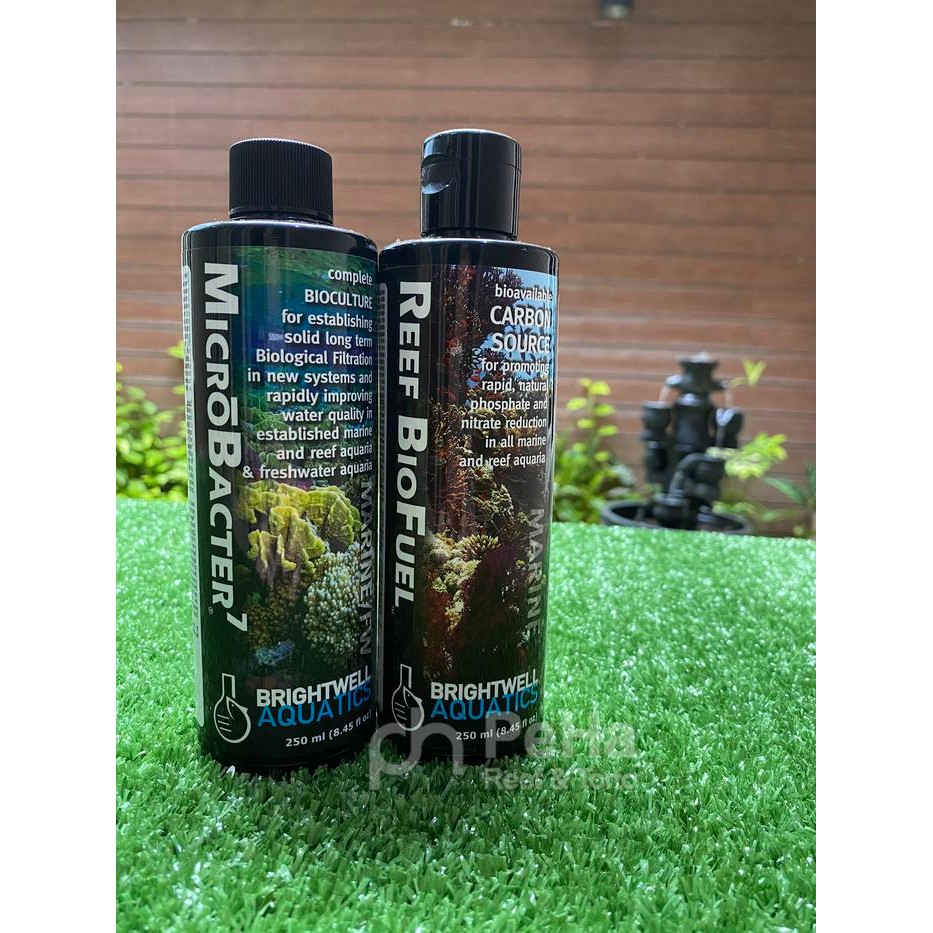 BAKTERI STARTER BRIGHTWELL - MICROBACTER7 MB7 - REEF BIO FUEL 250ML X2