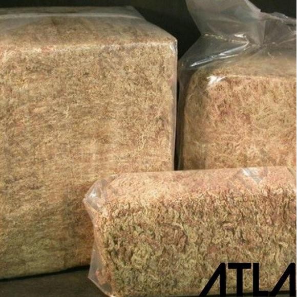 Terlaris Sphagnum Moss 5 Kg Media Tanam Anggrek Spagnum Mos Chile 5Kg Mt082 Xz