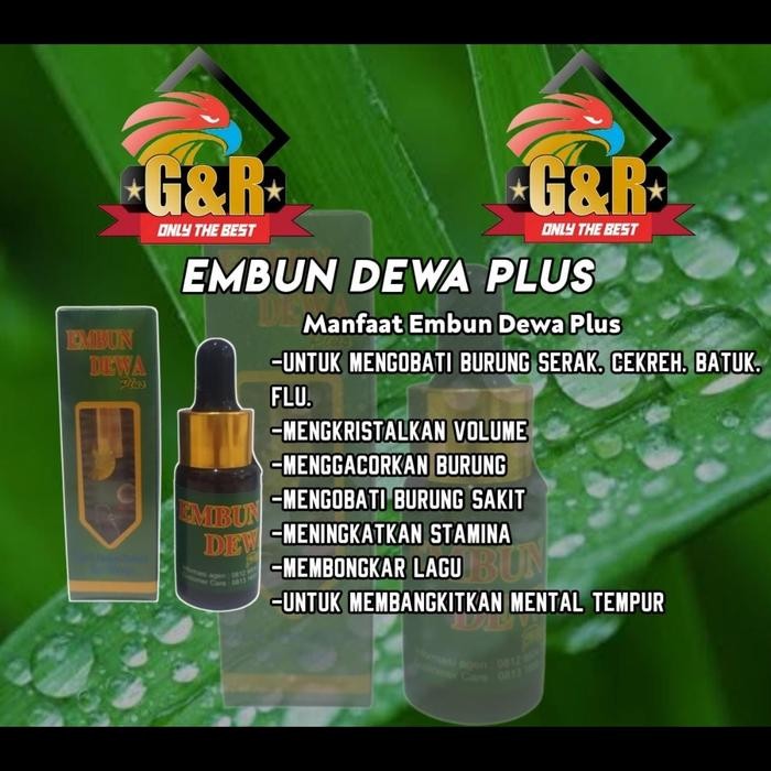 KIBASARI EMBUN DEWA PLUS