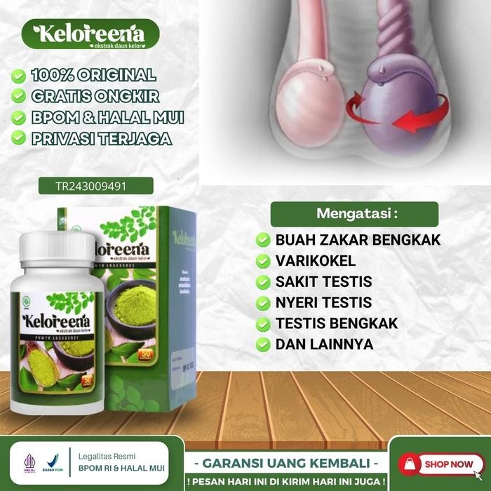 Buah Zakar Bengkak Sebelah Kanan Varikokel Farikokel Testis Besar Sebelah Biji Zakar Sakit Bengkak