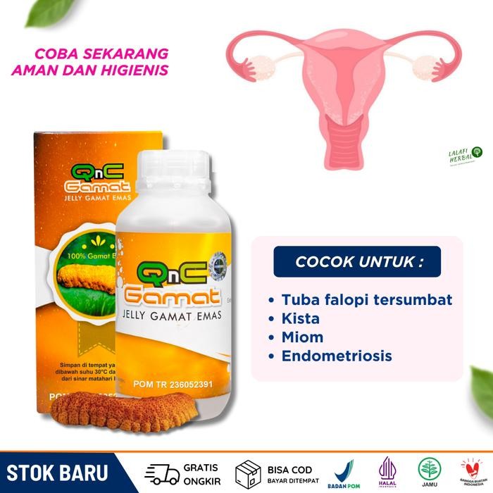 Tuba Falopi Tersumbat Non Paten Penyumbatan Saluran Indung Telur QnC Jelly Gamat
