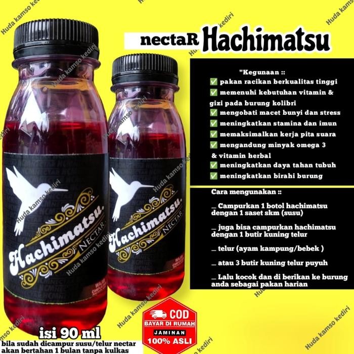 READY nektar hachimatsu