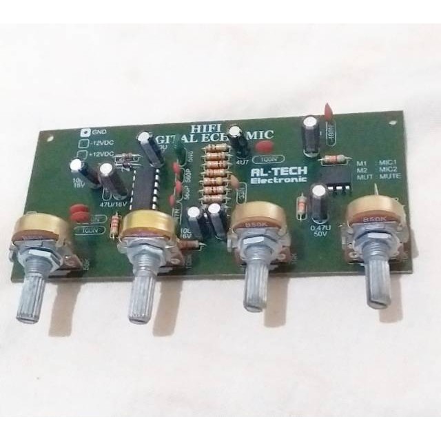 (Expert) Kit Super Digital Echo 2 Mic 4 potensio