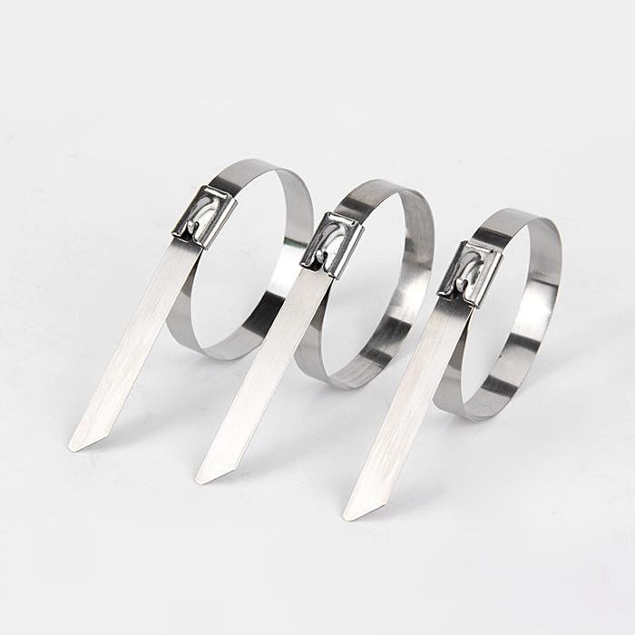 

Kabel Ties Stainless Steel Anti Karat 100 Pcs 4.6X450Mm