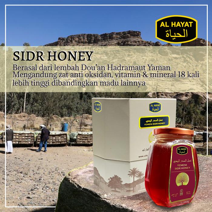 

Promo Terbatas Al Hayat Madu Sidr Yaman / Yemeni Sidr Honey Import Dubai 500Gr Aman
