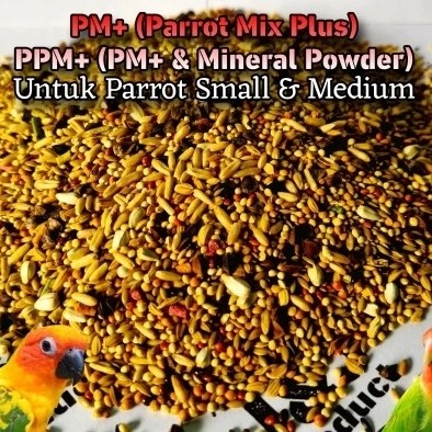 Pakan Burung Parrot Pharmacy Mix Plus 5Kg Jj Premium Vitamin Lovebird