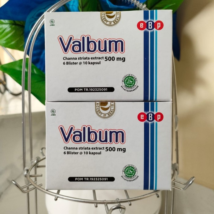 

VALBUM 500MG ( untuk melihara kesehatan tubuh )