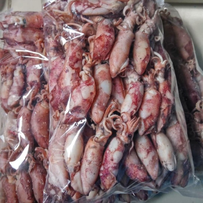 

Wdo - Cumi Asin Kering