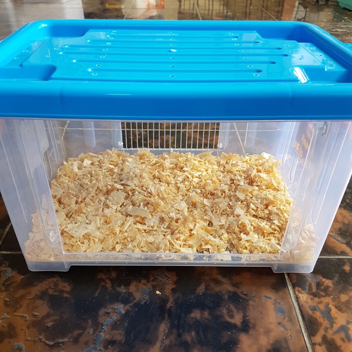 Kontainer box modif akrilik kandang hamster landak mini reptil