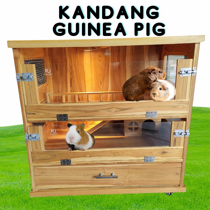 Kandang Guinea Pig kandang marmut