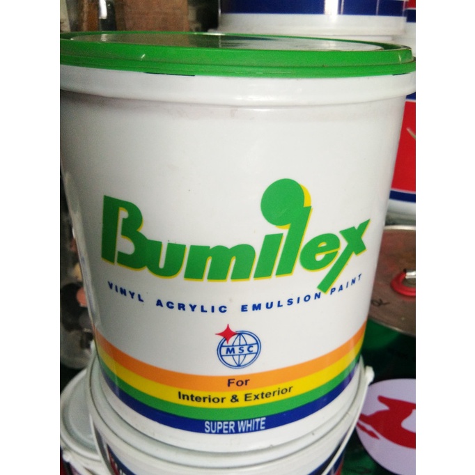 Cat tembok / cat plafon / cat gypsum merk bumilex 5 kg ( putih )