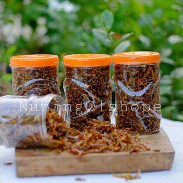 

terbaru !!! belalang goreng camilan viral gurih asin ready