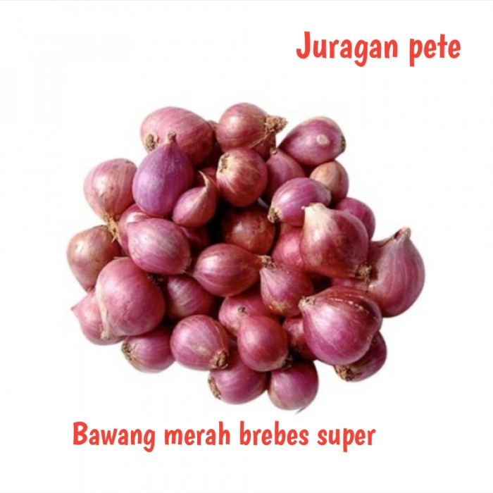 EKSLUSIF BAWANG MERAH SUPER KEMASAN 1KG/BAWANG MERAH BREBES/BAWANG MERAH SUPER/BAWANG MERAH SUPER