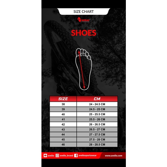 Sepatu sepeda carbon avelio roadbike Putih