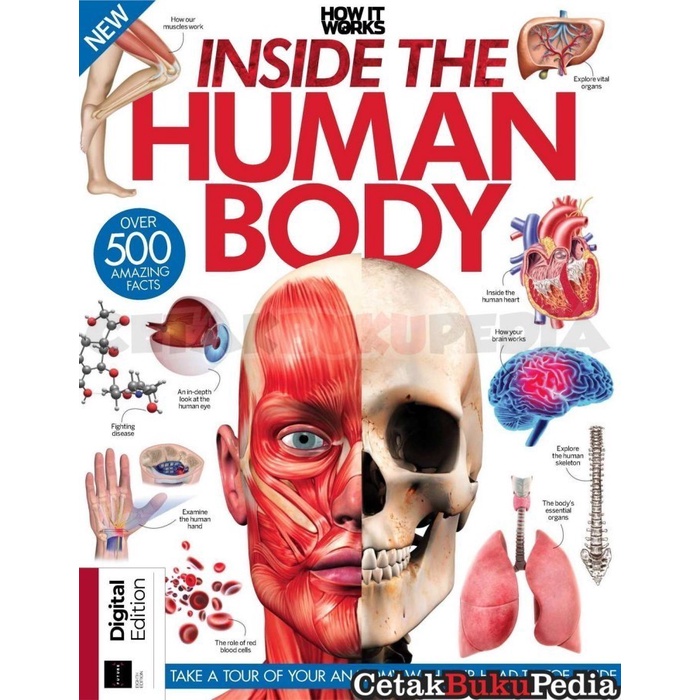 fisik How It Works Inside the Human Body 8ed SoftCover