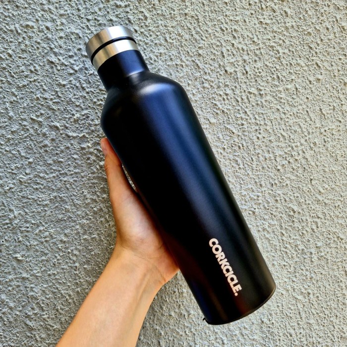 Botol Minum Corkcicle Botol Minum Stainless 500Ml Tumbler Minum Ready
