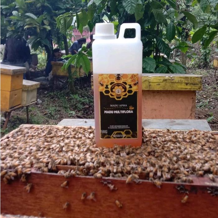 

Madu multiflora 1 kg super raw Honey