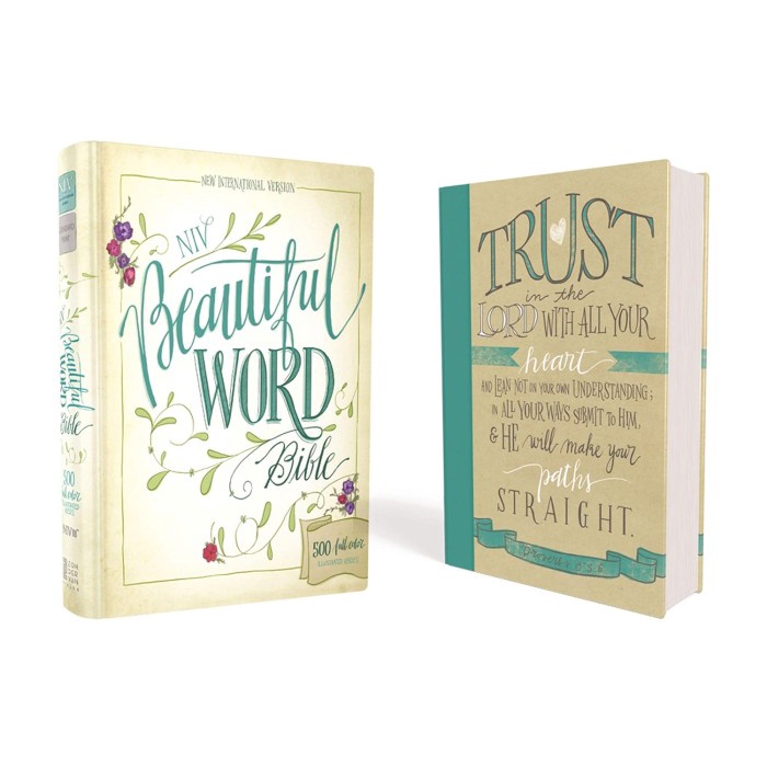 

Niv, Beautiful Word Bible, Hardcover: 500 Full-Color Illustrated Verses
