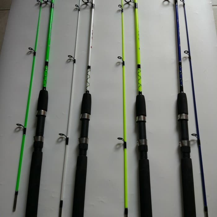 joran Catfish eel 135