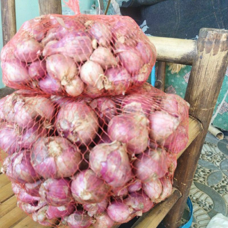 

bawang merah lokal 1,5kg special live diskon 12% ukuran besar