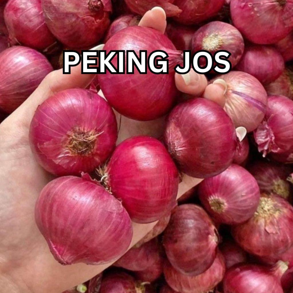 

Bawang Peking 1kg- Bawang Merah Peking Murah Bisa COD - Bawang Merah INDIA