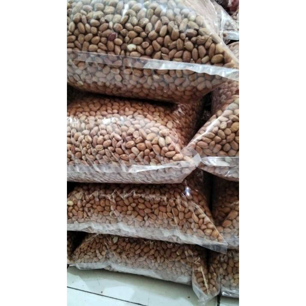 

KACANG TANAH BALI SUPER