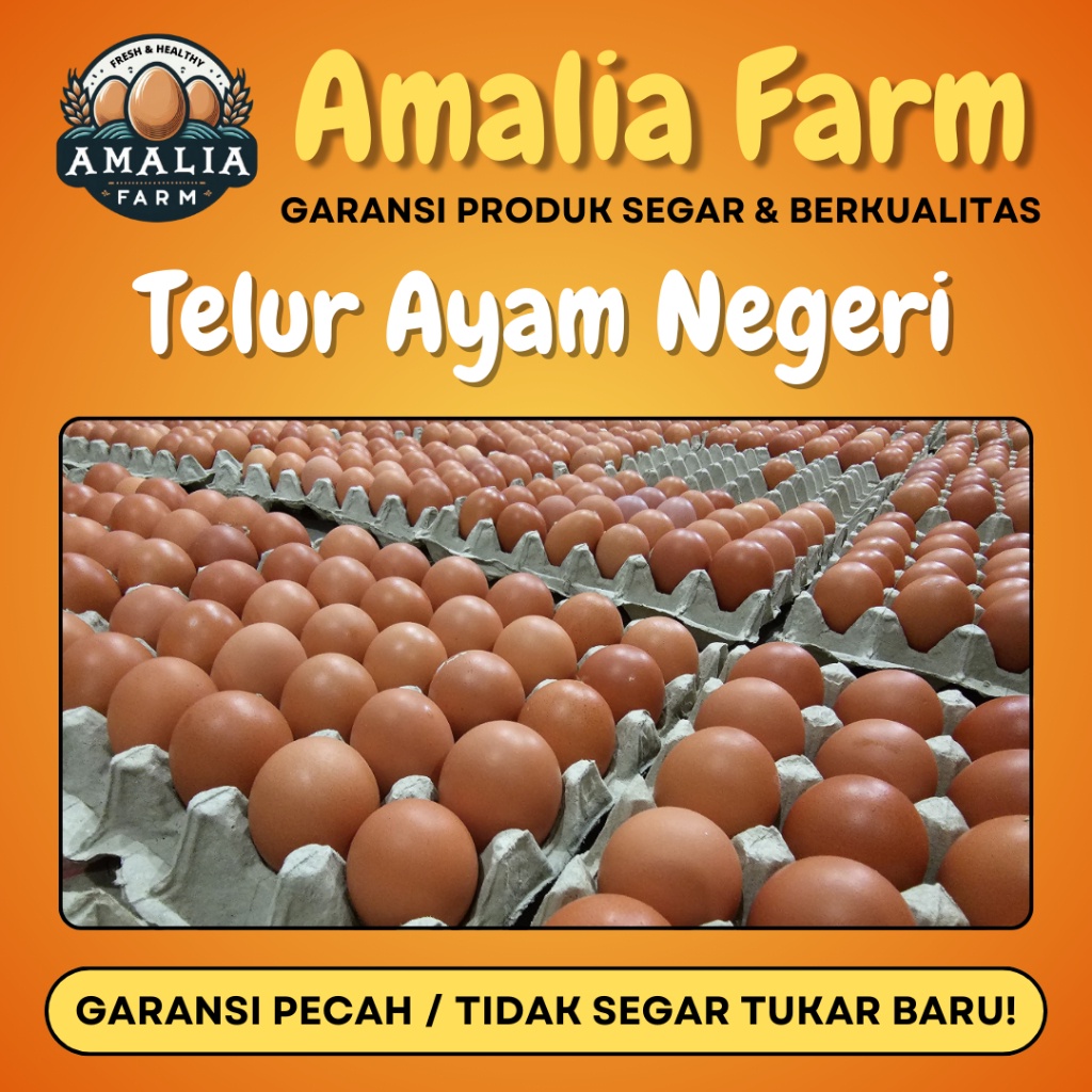 

Amalia Farm - 1 Tray Telur Ayam Negeri Isi 30 Butir PREMIUM