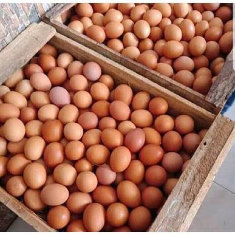 

TELUR AYAM NEGERI PER TUJUH BUTIR FRES BANDUNG