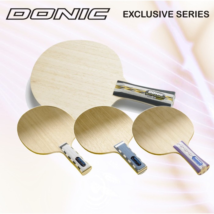 Donic Waldner Exclusive AR / Bet Tenis Meja Pingpong