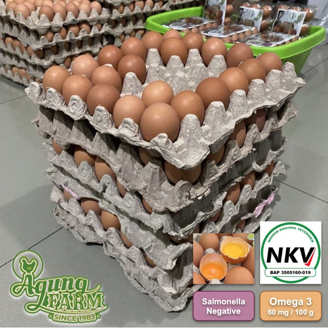 

Telur Ayam Negri Negeri per 10 kg Curah Segar dari Kandang NKV