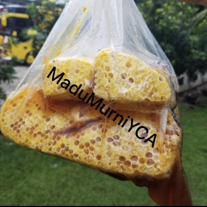 

BARANG TERLARIS madu liar asli sialang 1kg